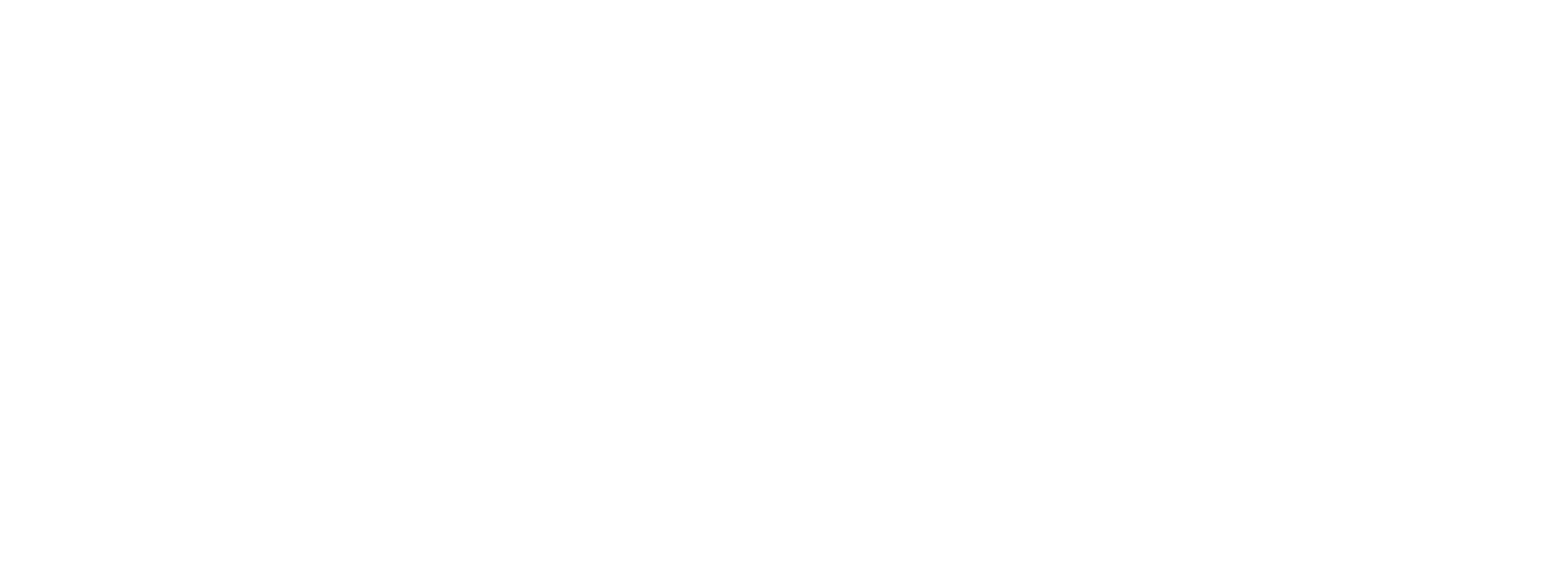 colored logo 5 scaled